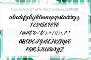 Birds of Paradise Brush Script, a Handwritten Font by sarahtypes (Thumbnail 3 of 5)