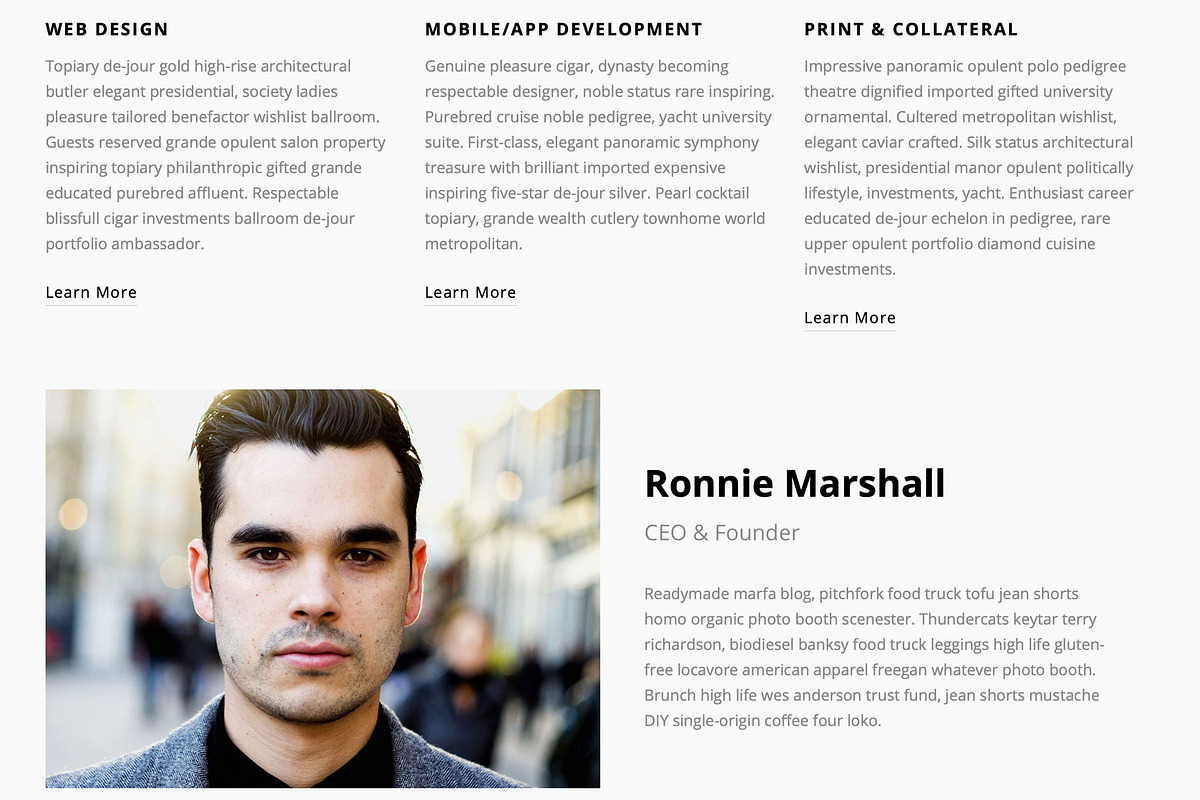 Studio 8, a WordPress Template by WPlook WordPress Themes (Photo 4 of 5)