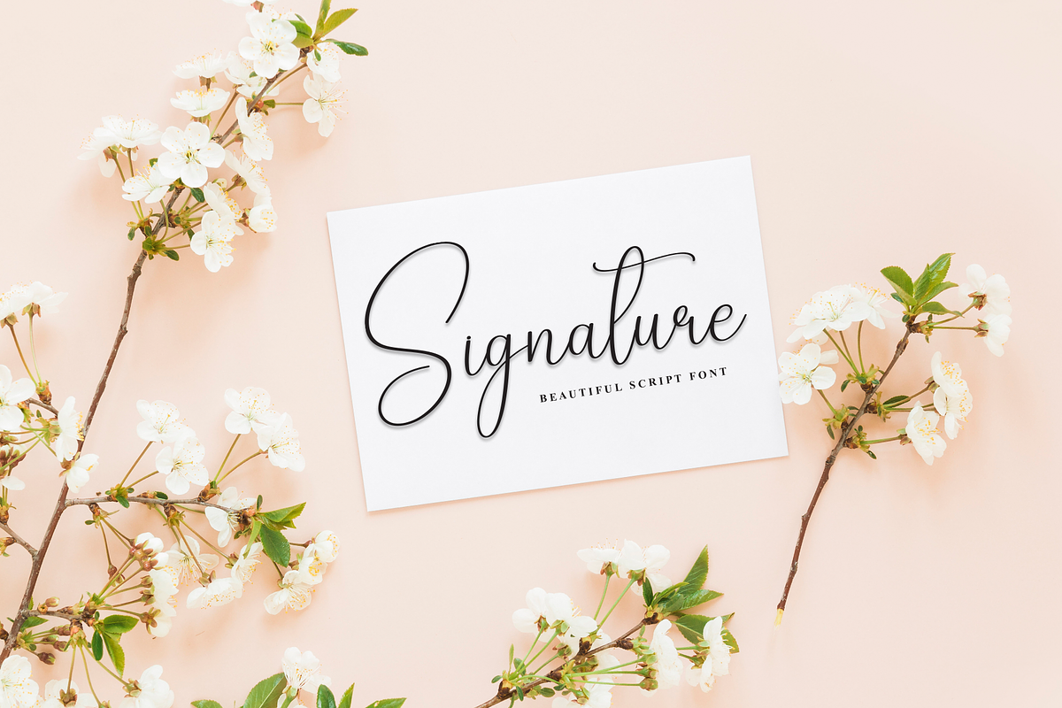 Fallen Angel | Script Font, a Handwritten Font by Scratchones (Photo 5 of 9)