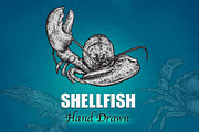 SHELLFISH - Hand Drawn, an Illustration by BusOne (Thumbnail 2 of 2)