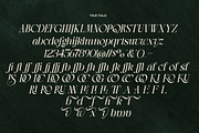 LT The Heistha Editorial - Font Duo, a Script Font by Luminotype (Thumbnail 16 of 17)