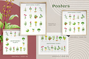 Adaptogenic Medicinal Plant Clipart, a Healthcare Illustration by AnitaPol (Thumbnail 20 of 24)