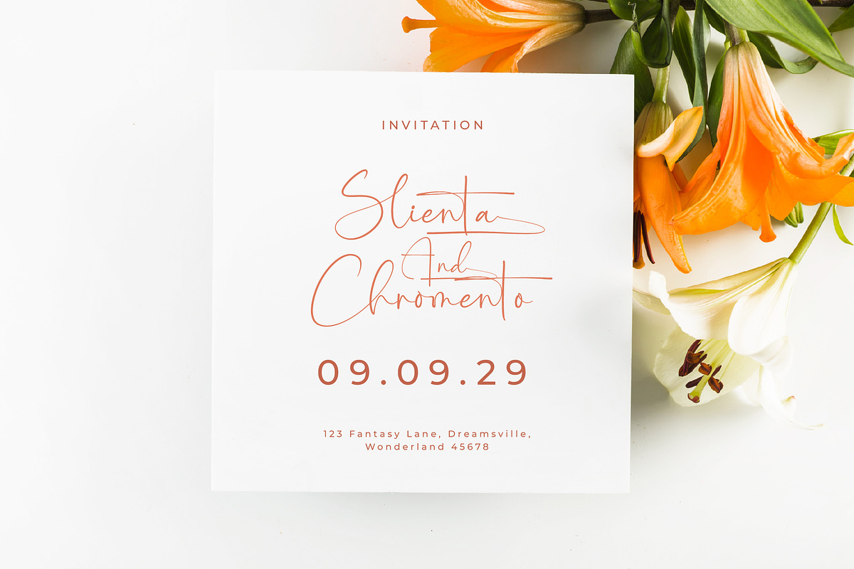 Starhontis Clentiona Stylish Font, a Script Font by stylishtype.co (Photo 6 of 20)