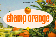 TAN - MARJORIE, a Font by TanType (Thumbnail 10 of 11)
