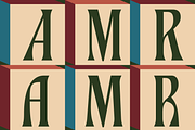 Financier Font, a Serif Font by Pipello Grafik (Thumbnail 9 of 13)