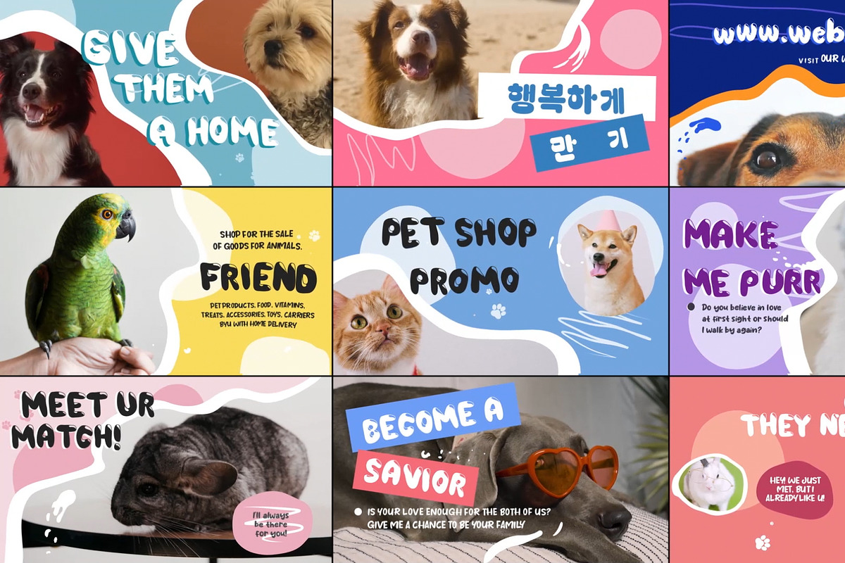 Pet Shop Promo for Premiere Pro, a Templates & Theme by FlashFXbox (Photo 1 of 2)