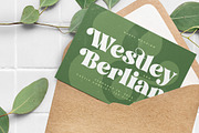 Magiste Crystal Retro Serif Font, a Serif Font by timelesstype.co (Thumbnail 17 of 20)