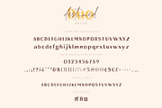 Destined Duo Brush Sans & Signature, a Script Font by Ayca Atalay (Thumbnail 12 of 13)