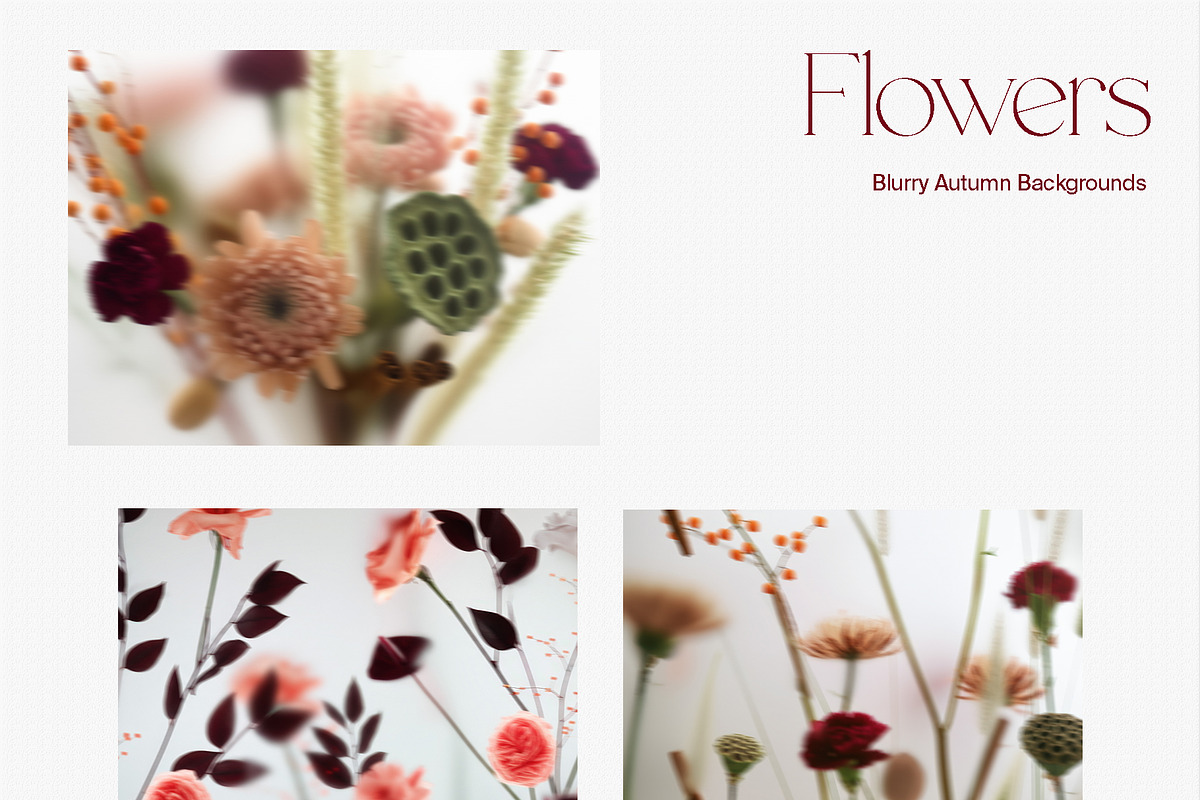 Harvest – Blurry Autumn Backgrounds, a Background Graphic by divanovskaya_nv (Photo 13 of 18)
