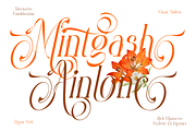 Mintgash Ainlone - Elegant Serif, a Serif Font by TypeClassHeroes (Thumbnail 2 of 10)