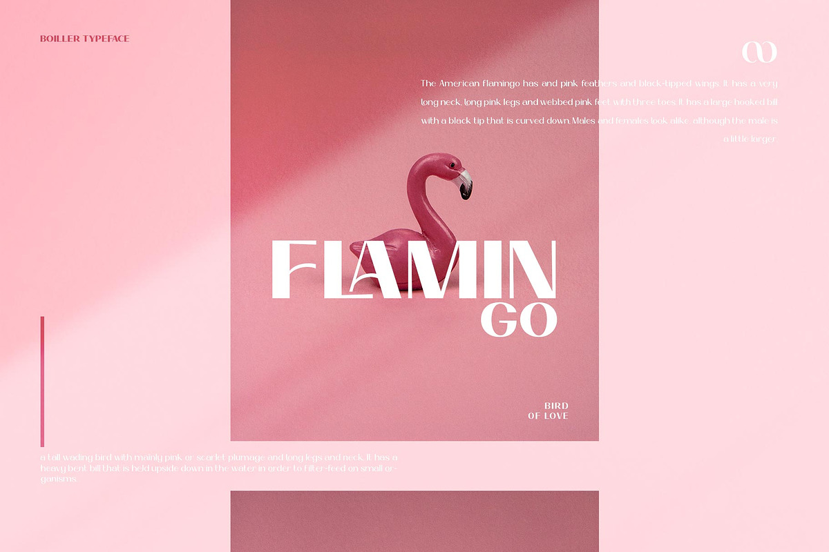 Boiller Typeface, a Sans Serif Font by alit design (Photo 2 of 18)