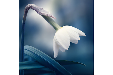 abstract spring background, a Nature Photo by BazziBa♥