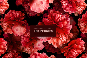 Red Peonies