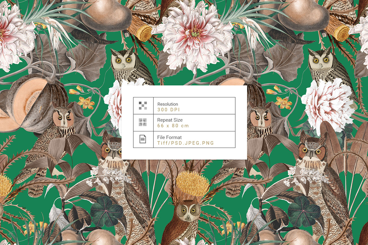 Autumn Owl Botanical Pattern & Motif, a Pattern Graphic by Pink Linen (Photo 2 of 12)