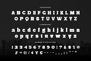 Mareno - A Modern Slab Serif Font, a Serif Font by Almeera Std (Thumbnail 5 of 10)