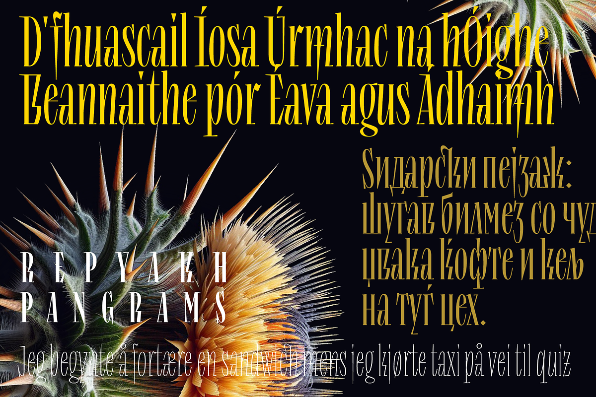 Repyakh Serif type family, a Serif Font by LevType (Photo 3 of 14)