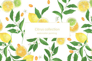 Citrus collection