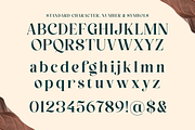 Esthetic Beauty - Elegant Modern, a Serif Font by Shakira Studio (Thumbnail 9 of 10)