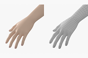Natural Female 01 A-Pose Base Mesh, a Characters & Person 3D Model by VK Studio (Thumbnail 22 of 26)