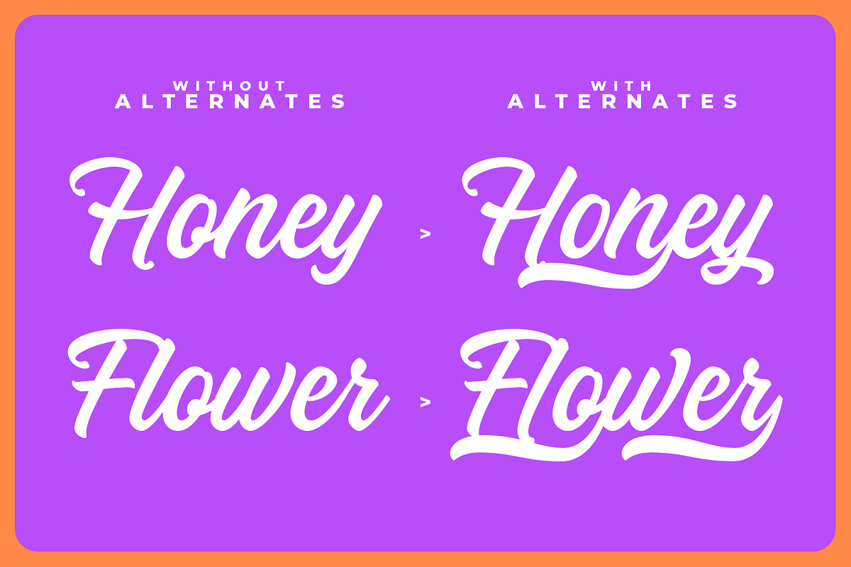 Honeybloom – Timeless Brush Script, a Script Font by Almarkhatype (Photo 2 of 11)