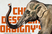 Hand Colored Engraving Procreate Kit, a Brush Add-On by Digi Life (Thumbnail 1 of 10)