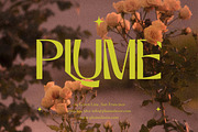 Marvio - Modern Display Typeface, a Font by Surplus Type Co (Thumbnail 3 of 11)