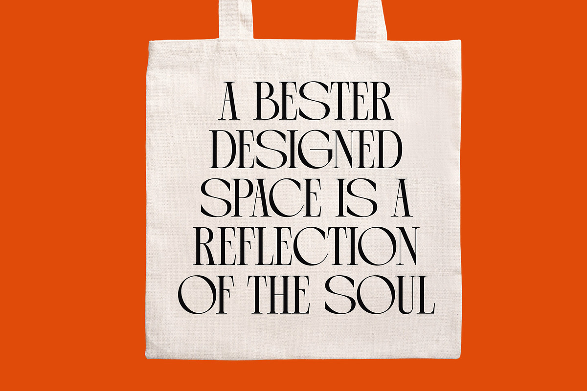 Arganica Stylish Display Serif, a Serif Font by timelesstype.co (Photo 14 of 20)