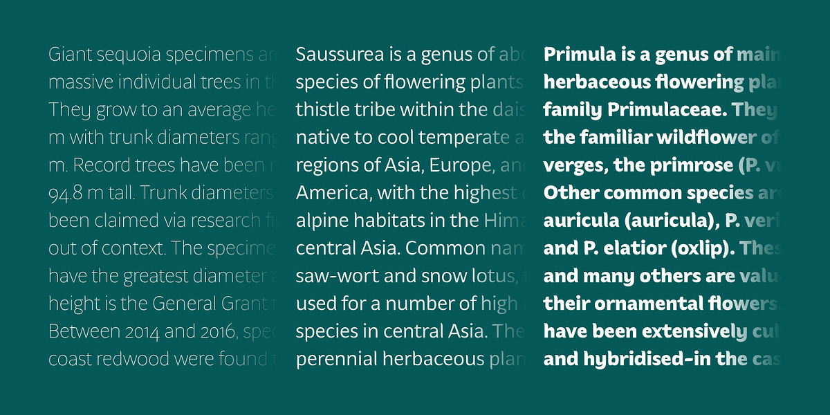 Hua, a Sans Serif Font by YXType (Photo 7 of 10)