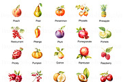 Watercolor Fruits Clipart, Pear PNG, a Food Illustration by BrushstrokeArtGB (Thumbnail 5 of 9)