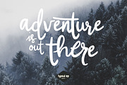Wild Winter | Extensive Script Font, a Script Font by Typed Up Studio (Thumbnail 16 of 16)