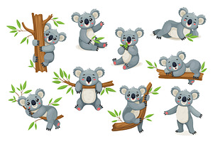 Cartoon funny koala bears, an Animal Illustration by Buch&Bee