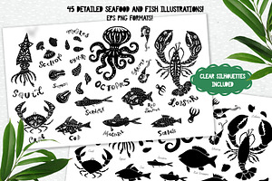 Seafood Illustrations