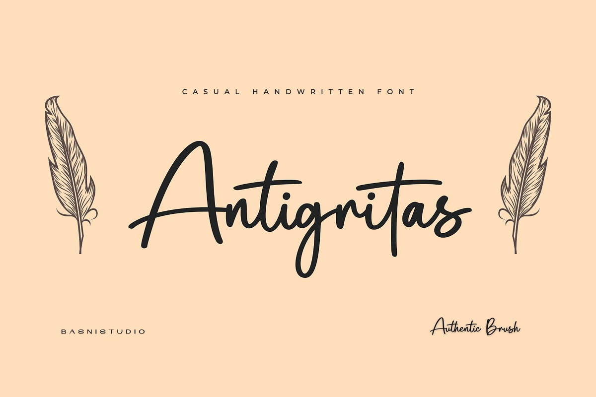 Antigritas – a Chic Handwritten Font, a Handwritten Font by Basnistudio (Photo 1 of 12)