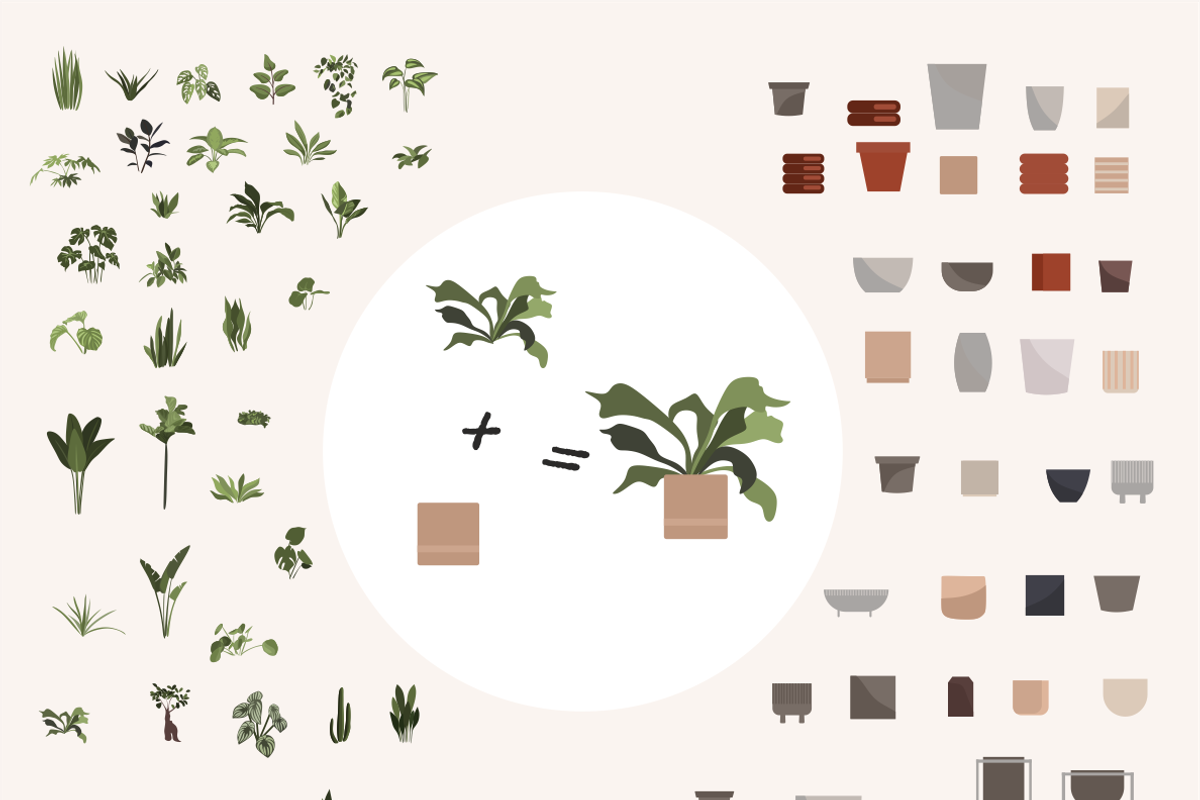Flower collection, home plants, a Decorative Illustration by Yana_mide (Photo 5 of 10)