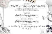 Willshering Script, a Script Font by moriztype (Thumbnail 4 of 5)