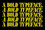Pronema - Modern Serif, a Serif Font by tebaltipislab (Thumbnail 10 of 13)