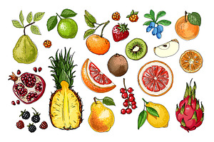 Vector food: vegetables and fruits