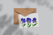 Blue Pansies Vector Set, an Illustration by MarynaPetrovska (Thumbnail 9 of 15)