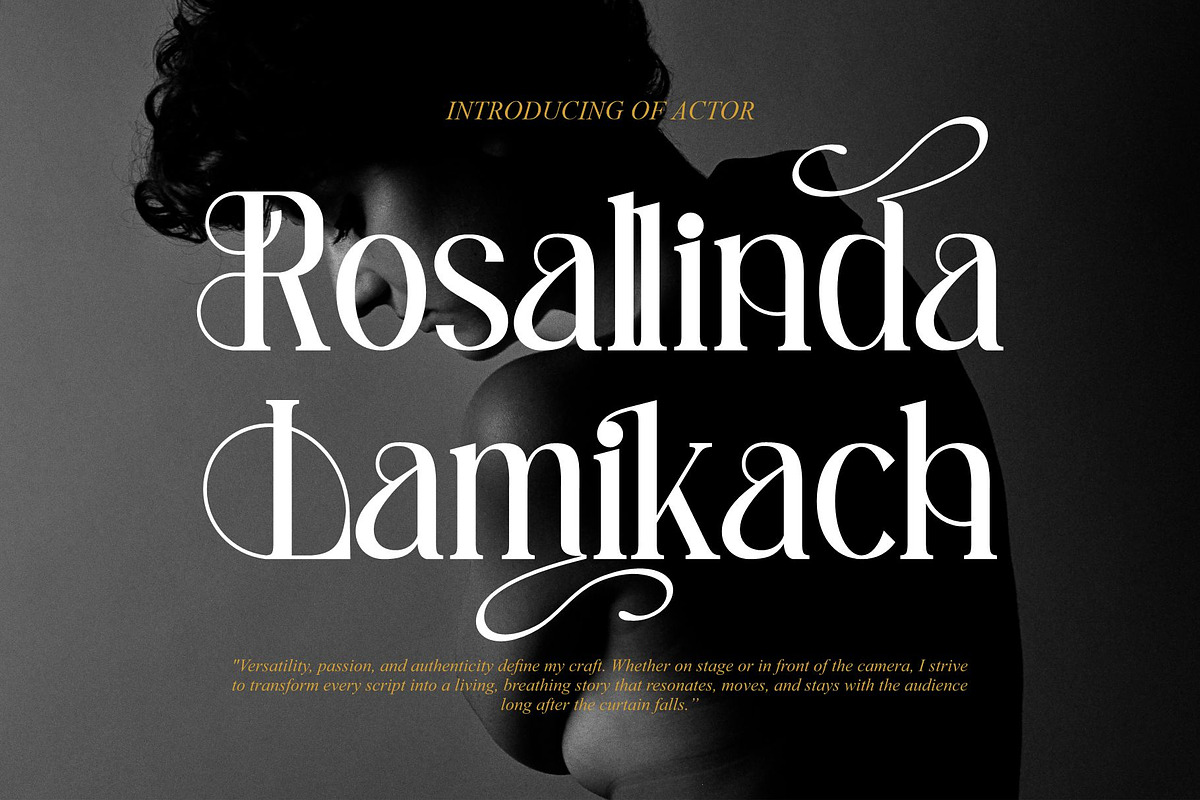 Amilado || Stylish Modern Serif Font, a Serif Font by Idea Studio (Photo 8 of 10)