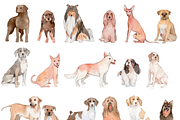 190+ Hand-drawn Watercolor Dogs, an Animal Illustration by ArtbyHien (Thumbnail 7 of 12)