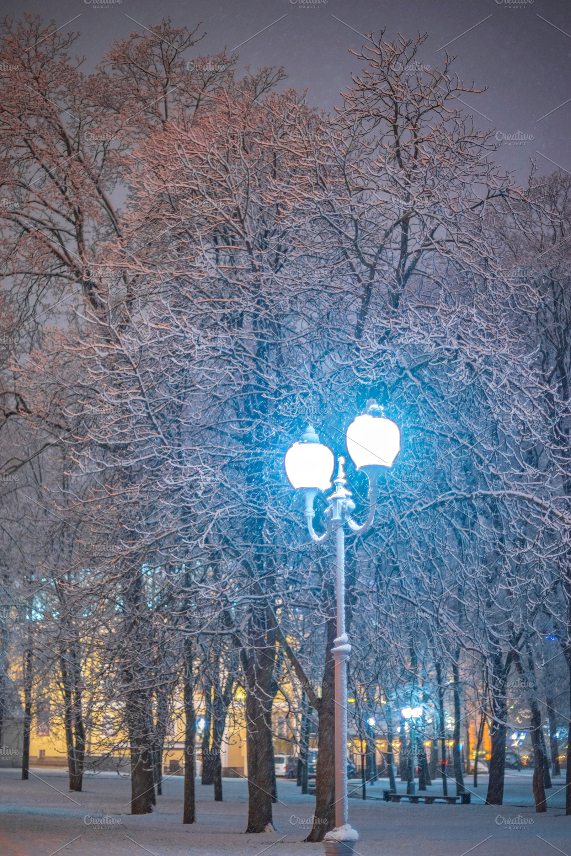 Glowing street lantern in snowy winter park at night, magical fe, a Photo by Pictures for you!!!!!!!!!