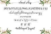 Almond Whisp - Modern Calligraphy, a Script Font by Sronstudio (Thumbnail 9 of 10)