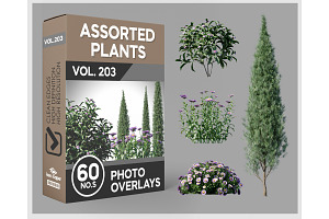 60 Assorted Plants Photo Overlays
