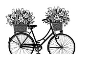 Flower Bicycle Silhouette Bundle, an Illustration by Gaye Art (Thumbnail 23 of 31)