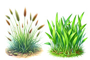 Watercolor Grass clipart, an Illustration by Designworld (Thumbnail 5 of 6)