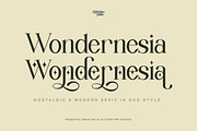 Wondernesia Nostalgic & Modern Serif, a Serif Font by Lettertype Studio (Thumbnail 1 of 15)