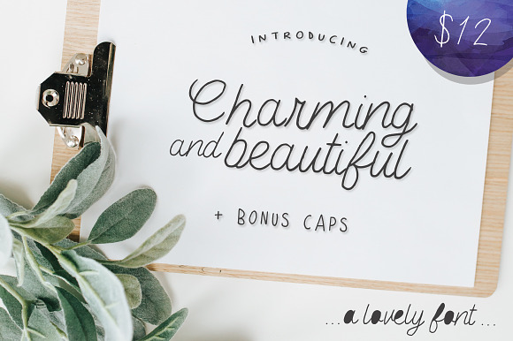 Charming and Beautiful Font preview 7