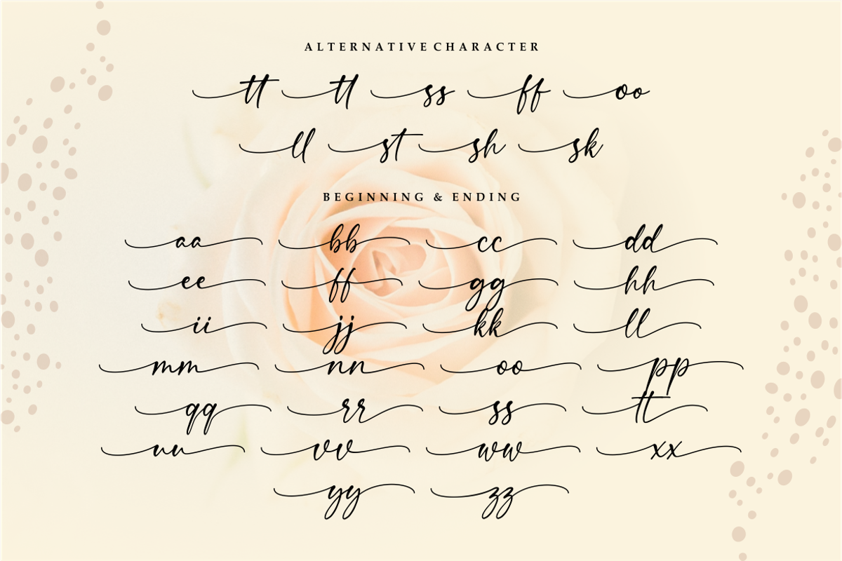 Steinfeld a Handwritten Font, a Script Font by Vilogsign (Photo 11 of 11)