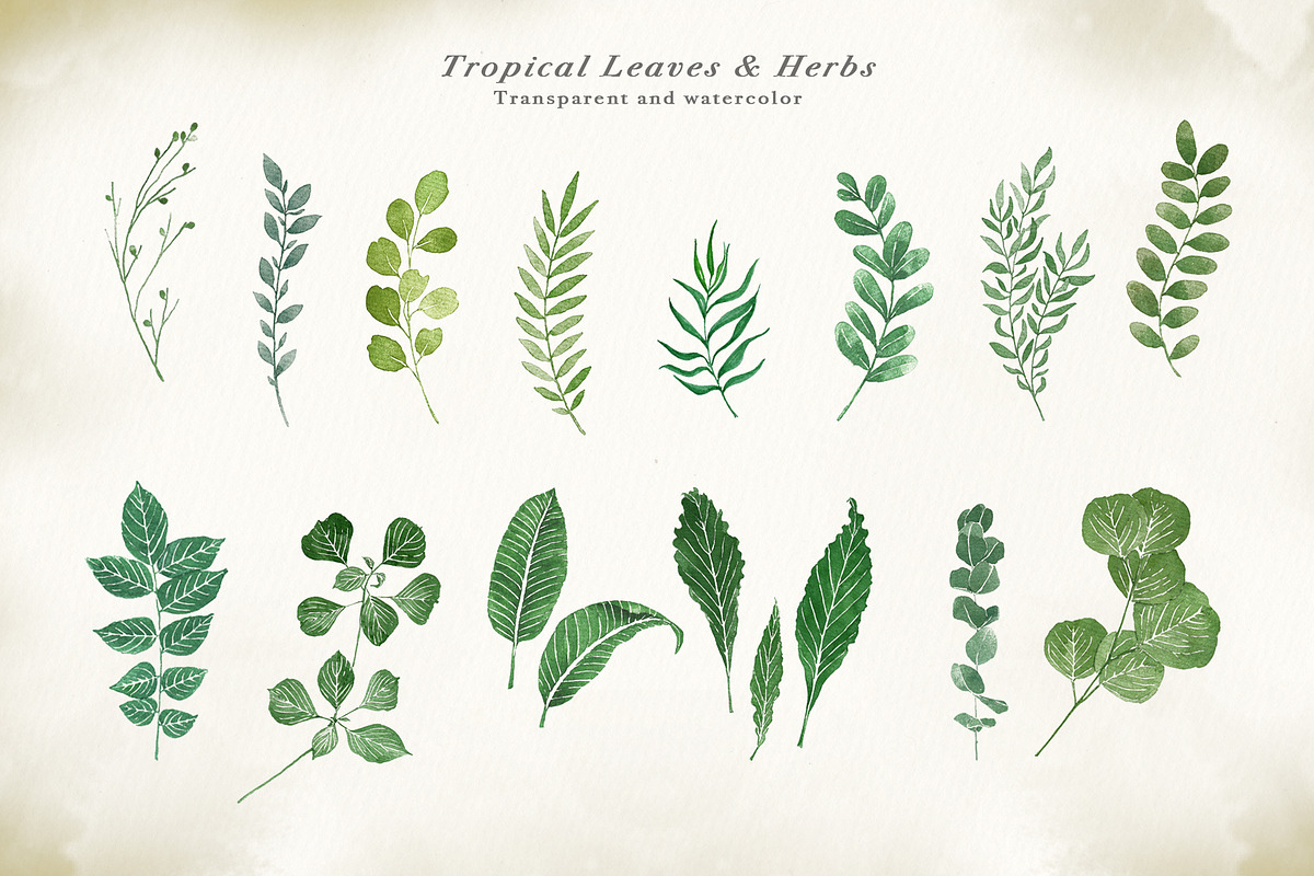 Watercolor & Gold Tropical Leaves, an Object Illustration by Papatongartist (Photo 5 of 10)