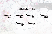 Saga | Script Font, a Handwritten Font by Scratchones (Thumbnail 8 of 9)